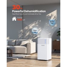 30 Pints Dehumidifier for Home and Basement Smart Humidity Low Noise for Room