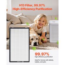 2-in-1 Air Purifier Replacement Filter H13 Filter with Non-Woven Fabric