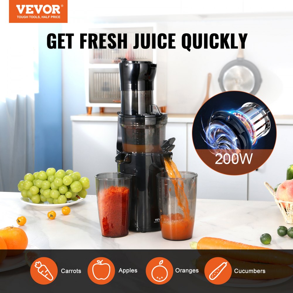 Compact Slow Juicer Machine Electric Juicer Cold Press Squeezer Vegetable  800ML
