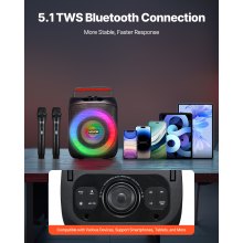 Karaoke Machine for Adults 30W 6.5 in Portable Bluetooth Speaker 2 Wireless Mic