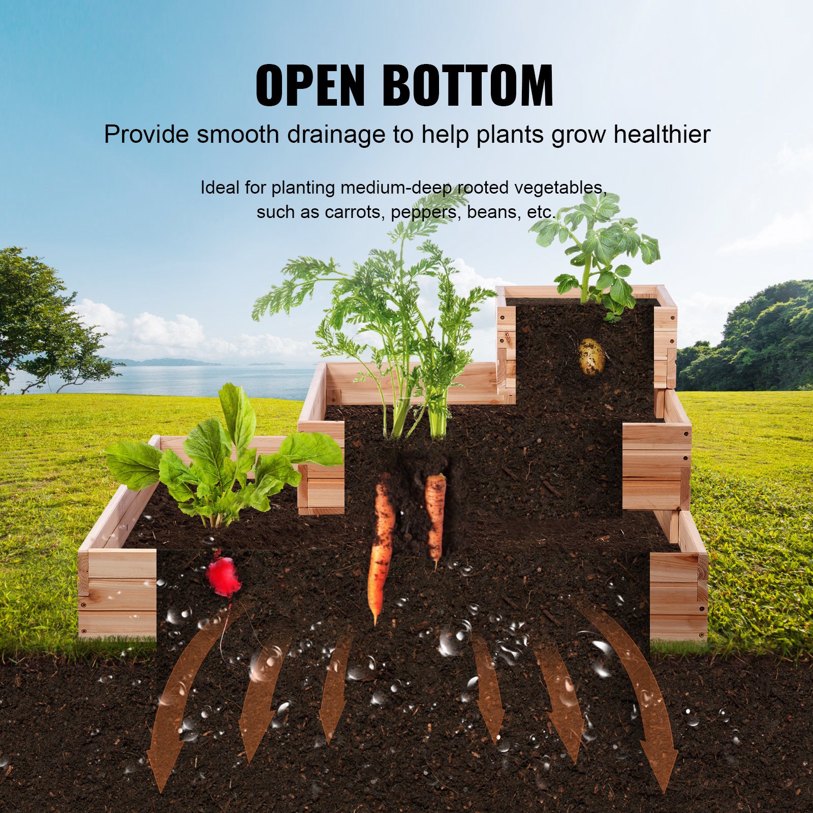 VEVOR raised garden bed with open bottom showing root growth and drainage benefits for vegetables.
