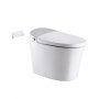 Without Water Tank