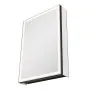 VEVOR Lighted Medicine Cabinet with Mirror, 20 x 28 in Recessed or Wall Mount, 3 Color Dimmable LED Bathroom Medicine Cabinet with Bottom Lighting, Adjustable Shelve Storage, Memory Defog Function