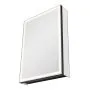 VEVOR Lighted Medicine Cabinet with Mirror, 20 x 28 in Recessed or Wall Mount, 3 Color Dimmable LED Bathroom Medicine Cabinet with Bottom Lighting, Adjustable Shelve Storage, Memory Defog Function