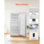 Convertible Freezer/Refrigerator 17 Cu.Ft Frost Free Upright Freezer Home