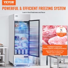 Congelator comercial VEVOR 20,12 ft cu, Congelator vertical cu o singură ușă, Congelator cu dezghețare automată din oțel inoxidabil cu 3 rafturi reglabile, control al temperaturii de la -13 la 5℉ și 4 roți
