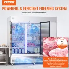 VEVOR Commercial Freezer 60.42 Cu.ft, Reach In 82.5" W Upright Freezer 3 Doors, Auto-Defrost Stainless Steel Reach-in Freezer with 12 Adjustable Shelves, -13 to 5℉ Temp Control, LED Lighting, 4 Wheels