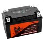 VEVOR Motorcycle Battery, 12 Volt 4Ah, LiFePO4 Lithium Pre-Charged Powersports Battery, Maintenance Free & High Performance, Compatible with ATV, Motorcycle, Jet Skis, Scooter, UTV, and More