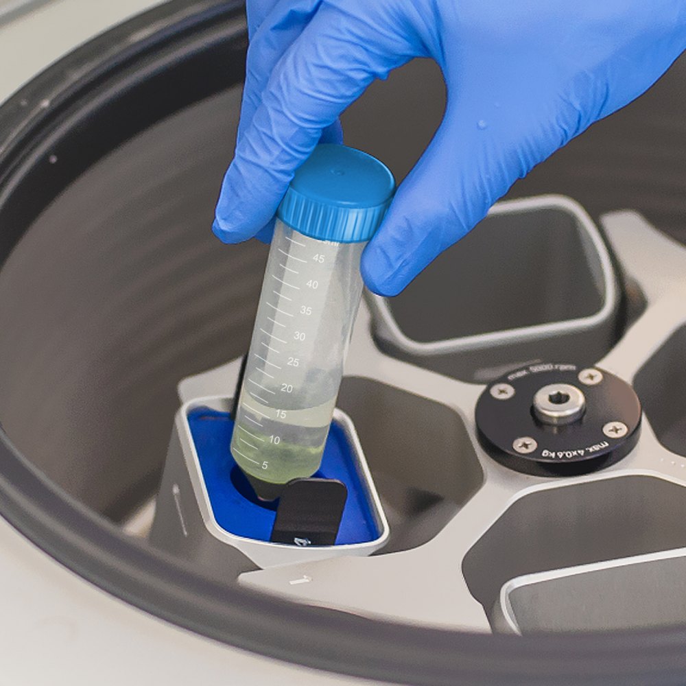 VEVOR Tubos de centrífuga cónicos de 50 ml, 500 tubos cónicos graduados esterilizados, tubos de centrífuga sin DN/RNasa con tapa de rosca para almacenamiento de muestras y separación, marca de escritura y estante incluidos, azul y naranja
