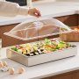 VEVOR Countertop Food Serving Display Container, 1 x 1 Pan Stainless Steel Food Serving Tray, Buffet Condiment Dispenser Display Rack with Clear Arc Lid & 3 Ice Trays, for Restaurant, Hotel, Party