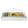 VEVOR Countertop Food Serving Display Container, 1 x 1 Pan Stainless Steel Food Serving Tray, Buffet Condiment Dispenser Display Rack with Clear Arc Lid & 3 Ice Trays, for Restaurant, Hotel, Party