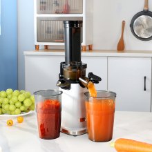 VEVOR Masticating Juicer, Cold Press Juicer Machine, 1.3" Feed Chute Slow Juicer, Juice Extractor Maker with High Juice Yield, Easy to Clean with Brush, for High Nutrient Fruits Vegetables