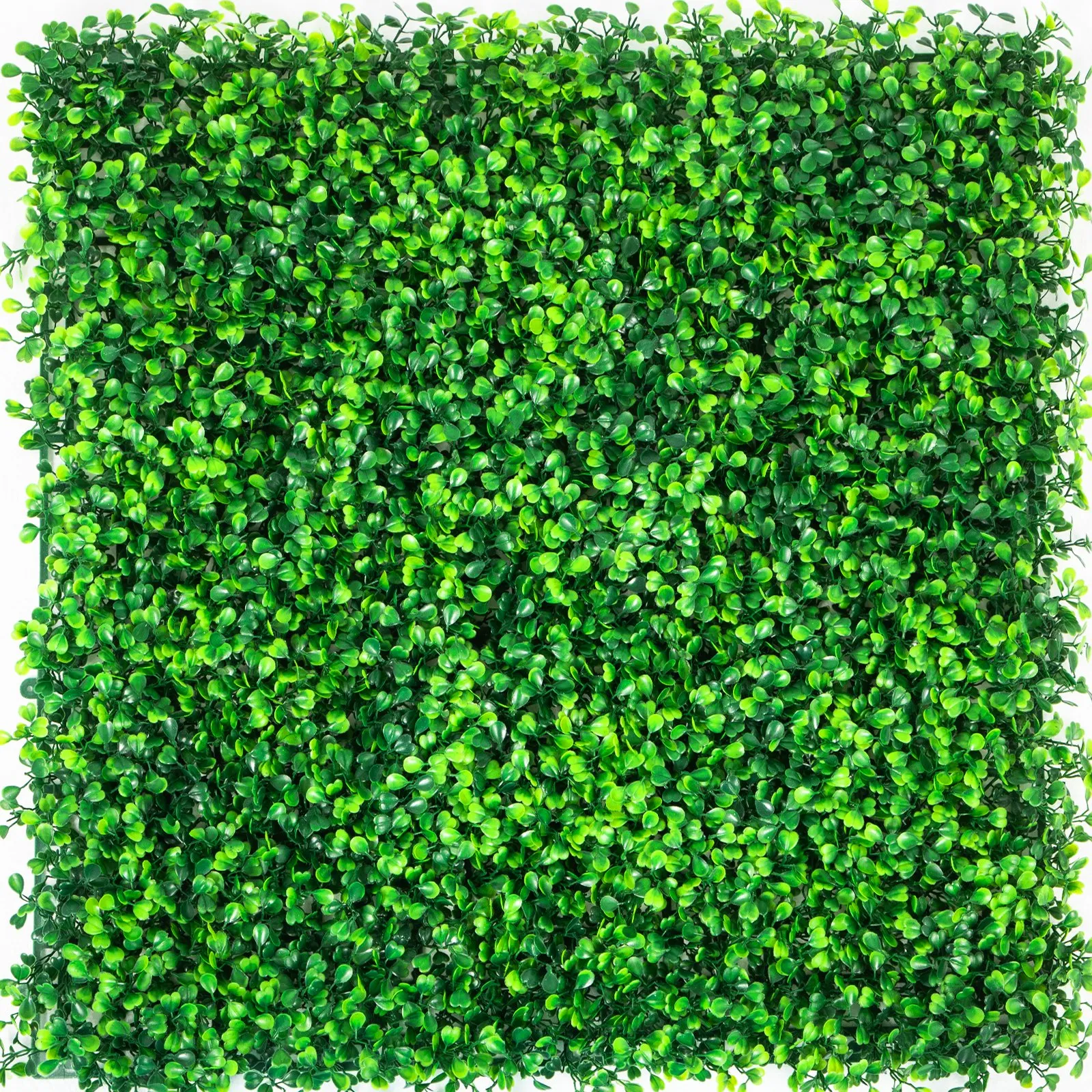green VEVOR artificial boxwood panels with dense, vibrant foliage in a square layout.