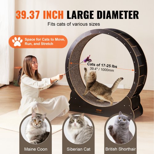 VEVOR Cat Exercise Wheel, Large Cat Treadmill Wheel for Indoor Cats, inch Cat Running Wheel with Detachable Carpet and Cat Teaser for