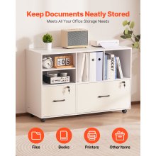 2 Drawer Wooden File Cabinet Mobile Filing Cabinet with Adjustable Shelves