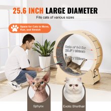 Cat Exercise Wheel Large Cat Treadmill Wheel for Indoor Cats 29.5 inch