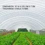 VEVOR Greenhouse Film 10 x 25 ft, Greenhouse Polyethylene Film 6 Mil Thickness, Greenhouse Plastic Greenhouse Clear Plastic Film UV Resistant, Polyethylene Film Keep Warming, Superior Toughness