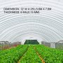 VEVOR Greenhouse Film 12 x 25 ft, Greenhouse Polyethylene Film 6 Mil Thickness, Greenhouse Clear Plastic Film UV Resistant, Polyethylene Film Keep Warming, Greenhouse Plastic Superior Toughness