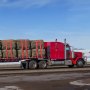VEVOR Winch Straps, 10.2 cm x 9.1 m, 2722 kg Load Capacity, 8165 kg Breaking Strength, Truck Straps with Flat Hook, Flatbed Tie Downs Cargo Control for Trailers, Farms, Rescues, Tree Saver, Red (10 Pack)