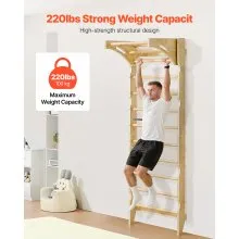 VEVOR Swedish Ladder Wall Gym 2-in-1 10-Level 220 LBS Loading Indoor Jungle Gym