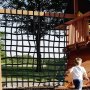 VEVOR Climbing Cargo Net, 10' x 8' Polyester Material, Playground Climbing Net Rope Ladder, Swingset, Large Military Climbing Cargo Net, for Kids and Adult, Indoor and Outdoor, Treehouse, Jungle Gyms