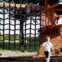 VEVOR Climbing Cargo Net, 8' x 6' Playground Climbing Net, Polyester Material, Rope Ladder, Swingset, Large Military Climbing Cargo Net for Kids & Adult, Indoor & Outdoor, Treehouse, Jungle Gyms