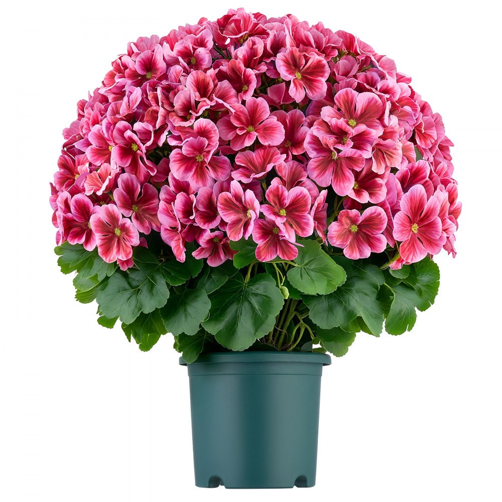 VEVOR Artificial Potted Geraniums 20 in 2-Pack Fake Flower Plants Deep Pink, for Porch, Patio, Entryway, & Home Decor, Indoor & Outdoor Use, Silk and PE Blooms in Pots, Ready to Display Faux Plants