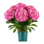 VEVOR Artificial Potted Hydrangeas 711 mm 2-Pack Fake Flower Plants Pink, for Porch, Patio, Entryway, & Home Decor, Indoor & Outdoor Use, Silk and PE Blooms in Pots, Ready to Display Faux Plants