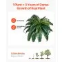 VEVOR Artificial Ferns 2 Pcs, Natural Spread Diameter 35-39 Inch, Large Hanging Artificial Boston Ferns, Fake Plant Wall Decor with 35 Branches, Faux Fern for Home and Office (Flowerpot Unincluded)