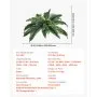 VEVOR Artificial Ferns 2 Pcs, Natural Spread Diameter 31-34 Inch, Large Hanging Artificial Boston Ferns, Fake Plant Wall Decor with 30 Branches, Faux Fern for Home and Office (Flowerpot Unincluded)