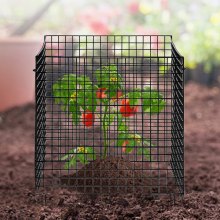 VEVOR - Paquete de 10 protectores de plantas de animales, jaula para plantas de 12 x 12 pulgadas para verduras