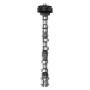 VEVOR Engine Camshaft, 05184378AF 05184378AH 5184378AE 5184378AF 5184378AD 5184378AG Cam Replacement, Fit 2018 Jeep Wrangler JK, 2011-2019 Dodge Journey, 2013-2018 Ram 1500, 2012 Ram C/V Base, 3.6L V6