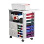 VEVOR Rolling Craft Cart and Storage Table, Compatible with Cricut Machines, Crafting Table Organization Workstation with 2 USB Ports and Outlets, 15 Vinyl Roll Holders and 2 Drawers, for Craft Room