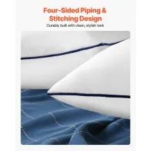 20 x 20 in Throw Pillow Inserts Pack of 2 White Down Alternative Pillows Square