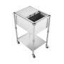 VEVOR Rolling Ice Chest Cooler Cart Stainless Steel Cooling Bin 42.4 L, Outdoor Stand Up Cooler Trolley with Wheels, Sliding Lid, Shelf, for Patio Backyard Party Bar Cold Drinks, 660 x 505 x 985 mm