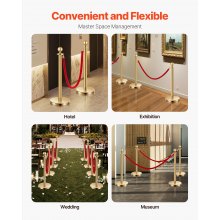 VEVOR 4 Pcs Gold Stanchion Post 2 Red Velvet Ropes Sand Injection Hollow Base