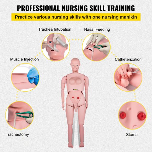 VEVOR Nursing Manikin, High Simulation 65"/165cm Life-size, Various Nursing Types, Male/Female PVC Nursing Training Mannequin w/ IV Practice Kit, for Professional Nursing Skills Training Practicing
