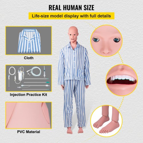 VEVOR Nursing Manikin, High Simulation 65"/165cm Life-size, Various Nursing Types, Male/Female PVC Nursing Training Mannequin w/ IV Practice Kit, for Professional Nursing Skills Training Practicing