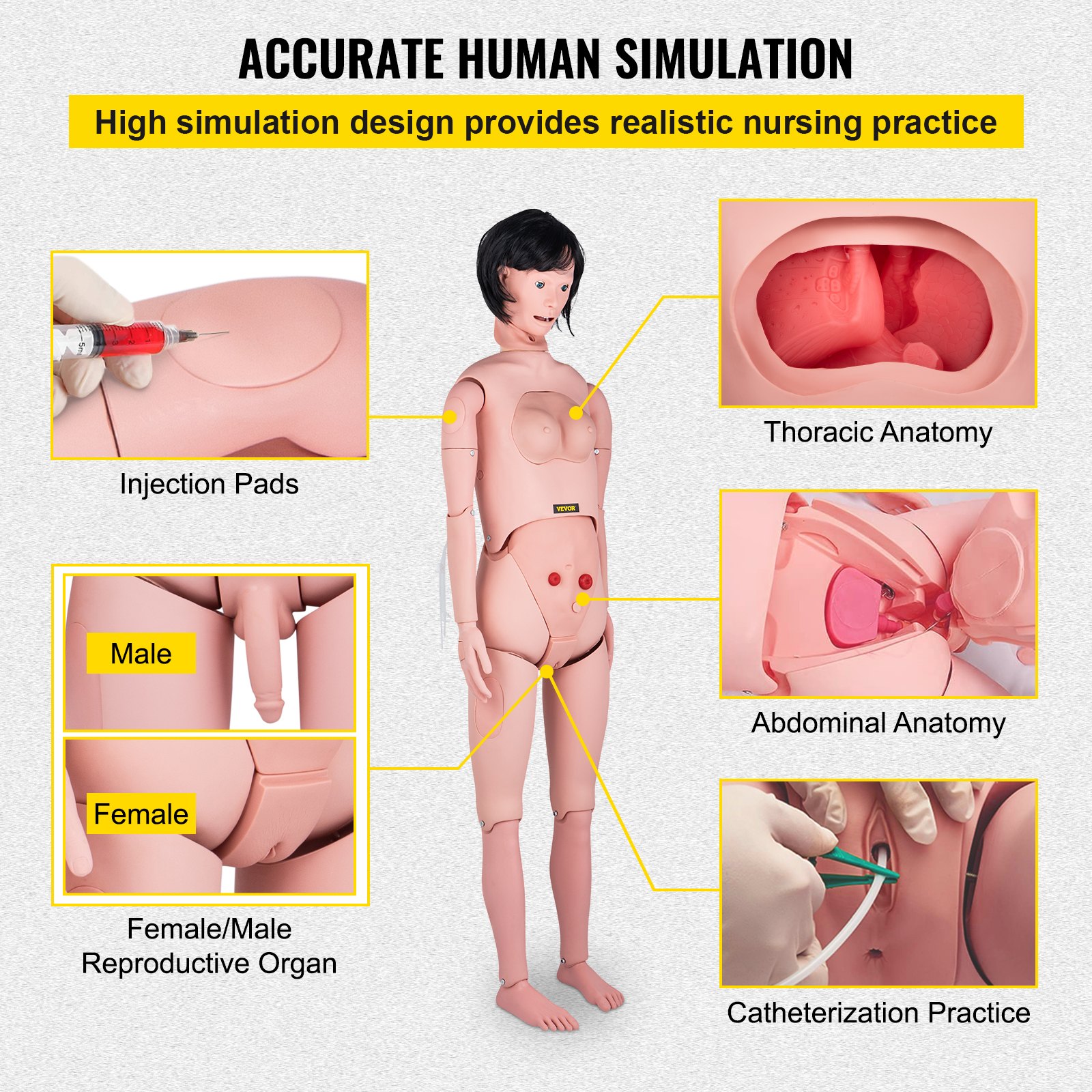 VEVOR Nursing Manikin, High Simulation 65"/165cm Life-size, Various Nursing Types, Male/Female PVC Nursing Training Mannequin w/ IV Practice Kit, for Professional Nursing Skills Training Practicing