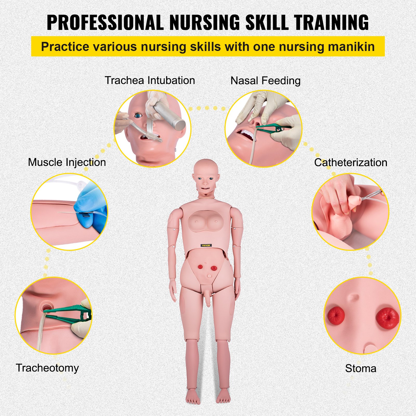 VEVOR Nursing Manikin, High Simulation 65"/165cm Life-size, Various Nursing Types, Male/Female PVC Nursing Training Mannequin w/ IV Practice Kit, for Professional Nursing Skills Training Practicing