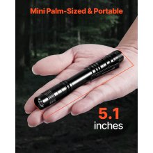 Pen Light 2-Pack 100 Lumens Pocket Flashlight with Clip IPX4 Waterproof Compact