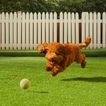 VEVOR Artifical Grass, 4 x 6 ft Rug Green Turf, 1.38"Fake Door Mat Outdoor Patio Lawn Decoration, Easy to Clean with Drainage Holes, Perfect For Multi-Purpose Home Indoor Entryway Scraper Dog Mats