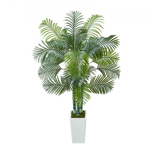 swiss cheese plant near me Swiss Cheese Plant | Monstera Adansonii