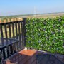 VEVOR Expandable Fence Privacy Screen, 64.9 x 310 cm Expand Artificial Plant Wall, Realistic Artificial Ivy Panel with 50 Zip Ties, Decorative Faux Greenery Backdrop Hedges for Balcony Patio Outdoor
