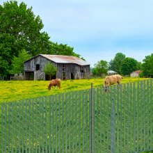 Chain Link Fence Privacy Slats Double-Wall for 4' High Fence Bottom Lock Green