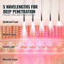 5 wavelengths for deep penetration, highlighting epidermal, dermal, fascia, muscular layers, VEVOR red light therapy device.