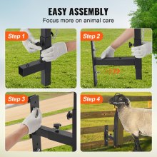 VEVOR Livestock Trimming Stand, Goat & Sheep Stand 9.37-12.8 inch Adjustable Height 0-5.4 inch Width, Metal Goat Milking and Shearing Stand Attachment Nose Loop Headpiece, Black