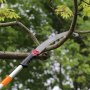 VEVOR manual pole saw cutting a tree branch with green leaves in the background.
