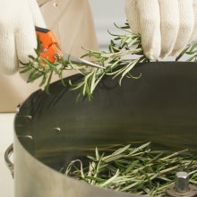 VEVOR knoppbladskärare, 16 tums manuell knopptrimmermaskin i rostfritt stål, med genomskinligt PET-skydd för visuell skärning, handbeskärare ingår, för att klippa löv, knoppar, blommor, hydroponiska växter