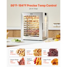 12 Trays Food Dehydrator Machine Stainless Steel 850W Jerky Meat Fruit Drying